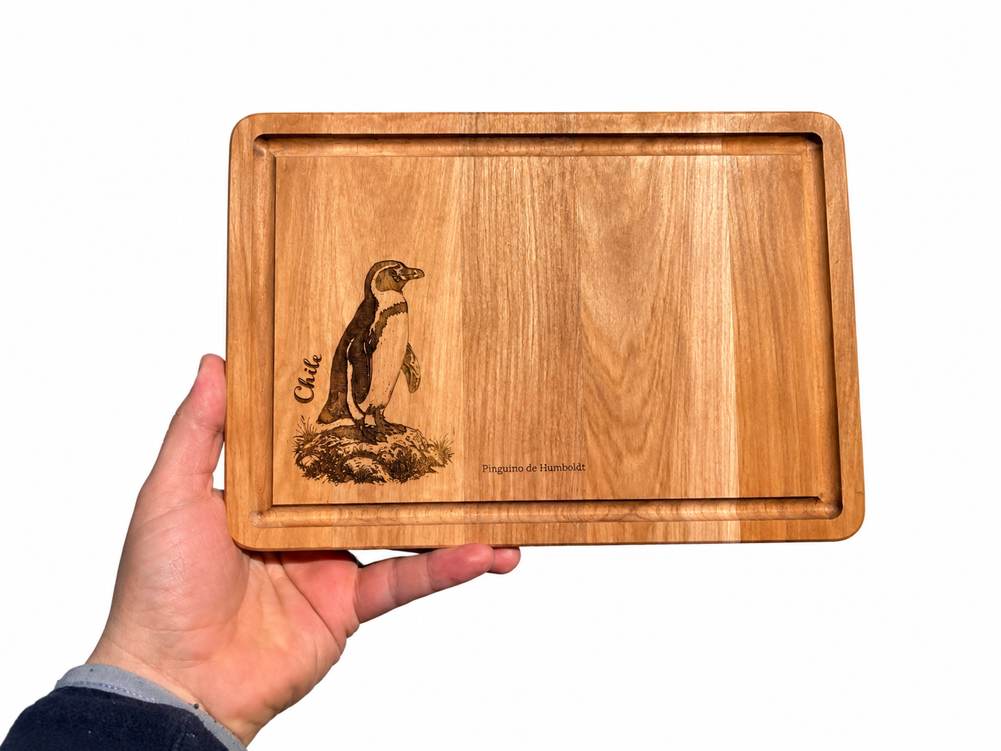 Tablas Picoteo Fauna Chilena