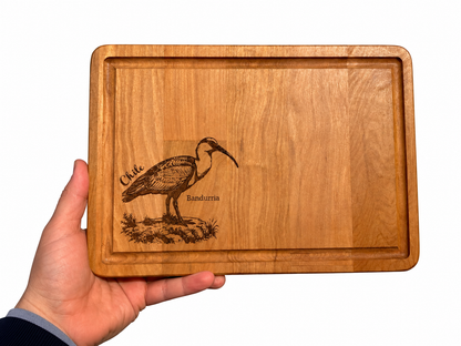 Tablas Picoteo Fauna Chilena